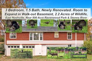 MLS# 2817225 - 216 Belding Dr in Standford Estates in Nashville Tennessee 37214