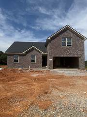 MLS# 2981343 - 273 Streamflow Drive in Bradley Bend in Ashland City Tennessee 37015