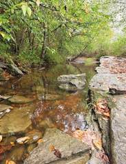 MLS# 2991437 - 240 Neal Rd in none in Watertown Tennessee 37184