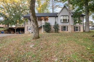 MLS# 3017154 - 310 Andes Dr in Chestnut Villa Sec 1A in Columbia Tennessee 38401