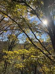 MLS# 3045740 - 1304 Sycamore Valley Rd in Sycamore Valley Revised in Ashland City Tennessee 37015