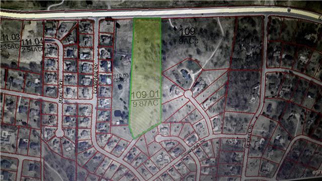 0 Lebanon Rd - Photo 1