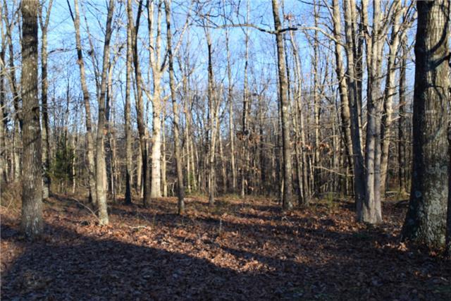 78 Mocking Bird Ln - Photo 1