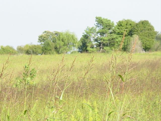 6395 Brewer Rd - Photo 1