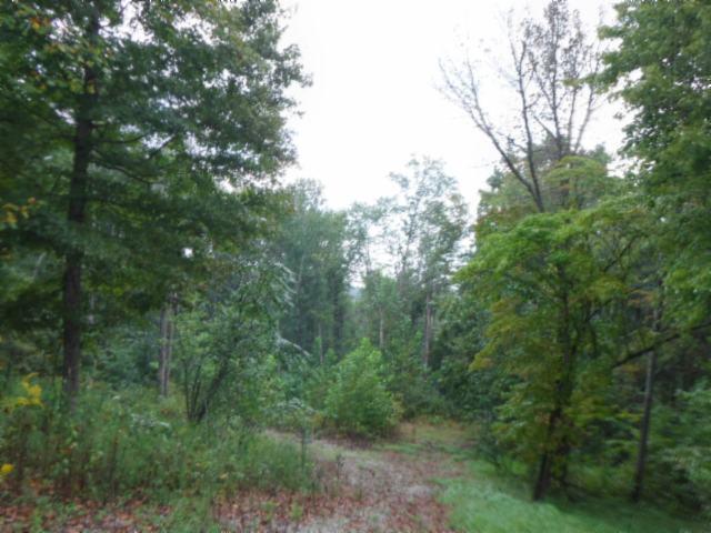 270 Gut Watkins Road - Photo 1