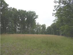 0 Ogden Rd - Photo 1