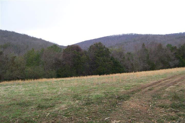 525 Smith Hollow Rd - Photo 1