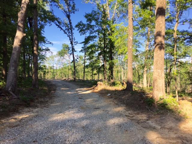 0 Hwy 48 - Photo 1