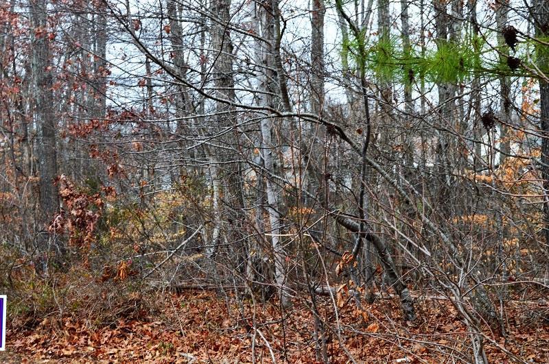 0 Jean Drive Lot 23 - Photo 1