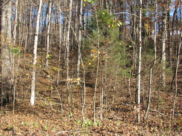 41 N Hill Dr - Photo 1