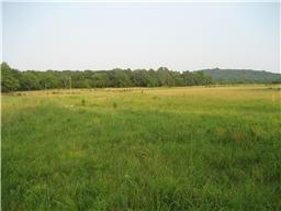 1 Lunns Store Rd - Photo 1