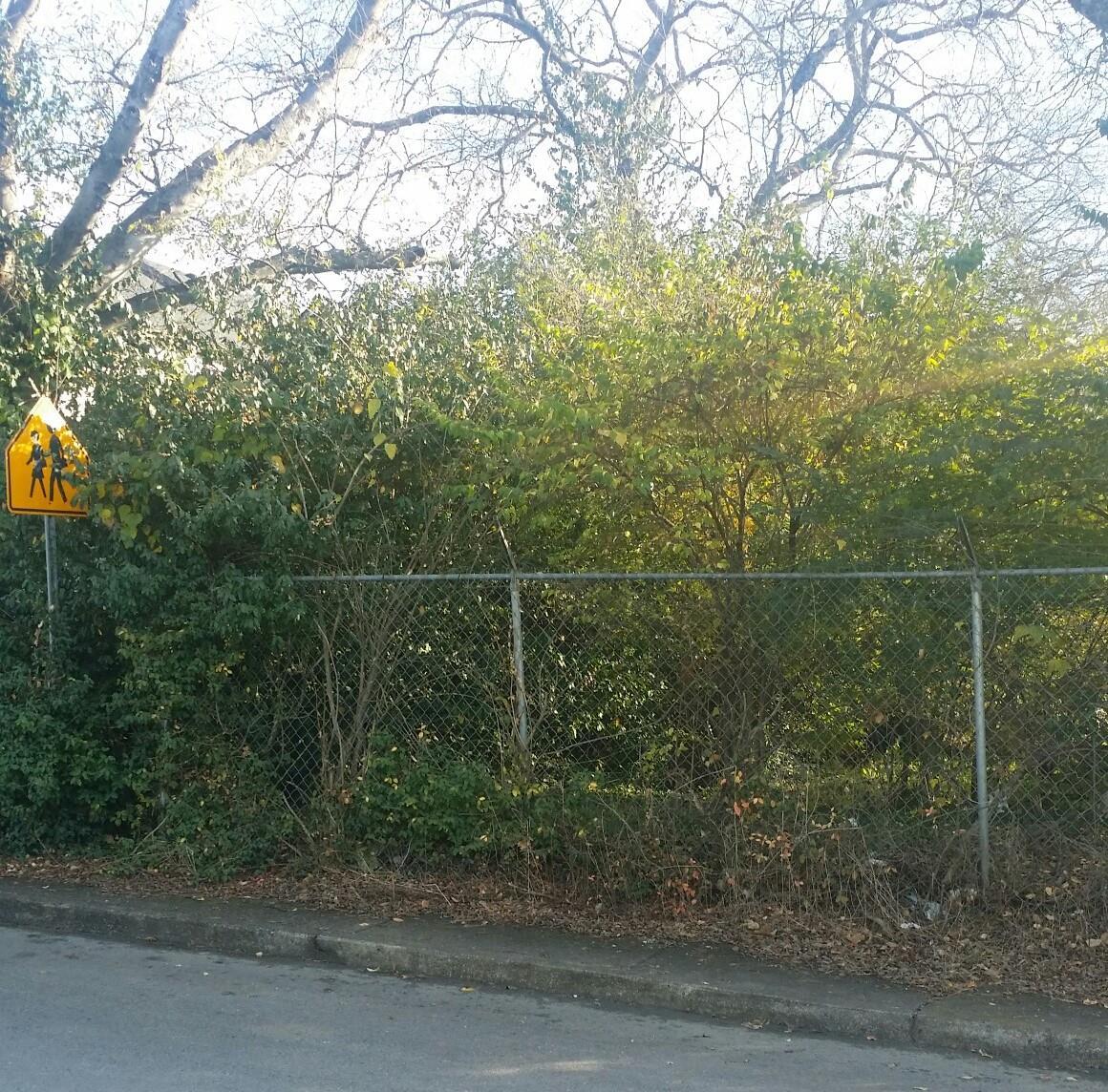 4017 Indiana Ave - Photo 1