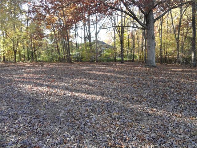 0 Ovoca Road - Photo 1