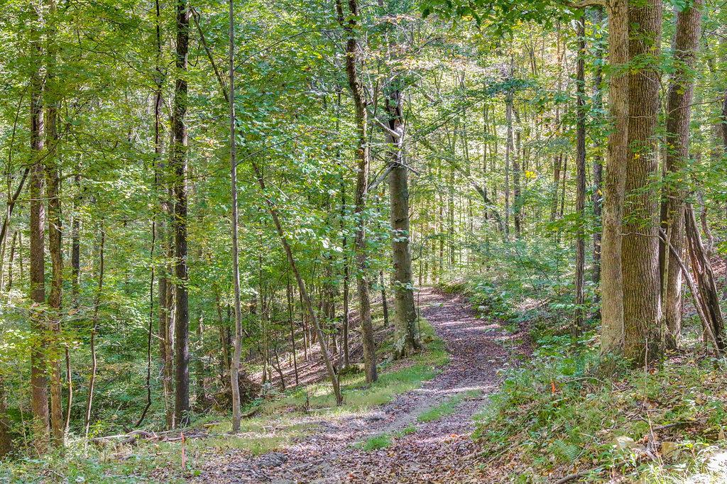 5 Natchez Ridge Ln # 5 - Photo 1