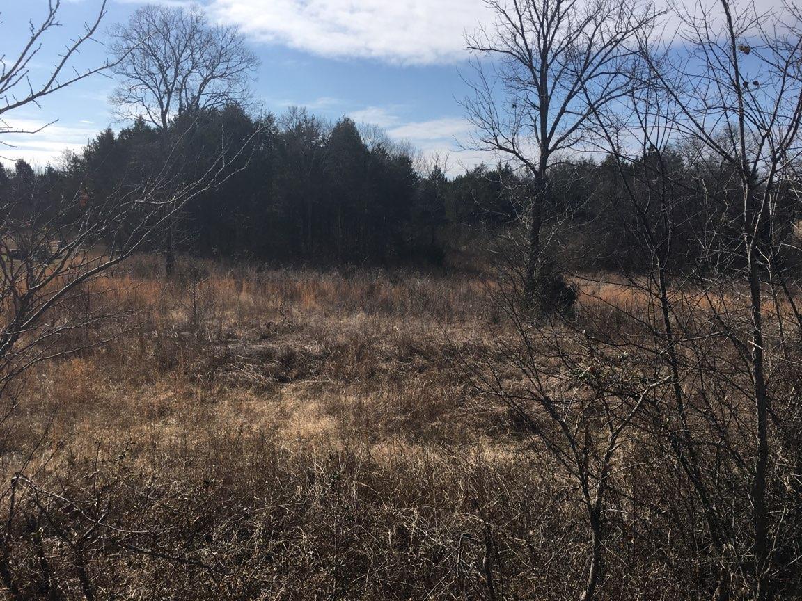 0 Chicken Rd - Photo 1