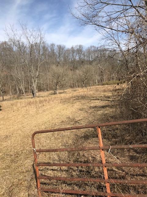 2286 Coolidge Rd - Photo 1