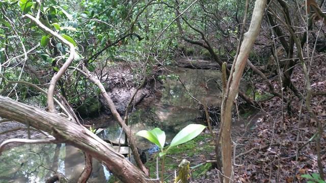 0 Baker Mountain Rd - Photo 1