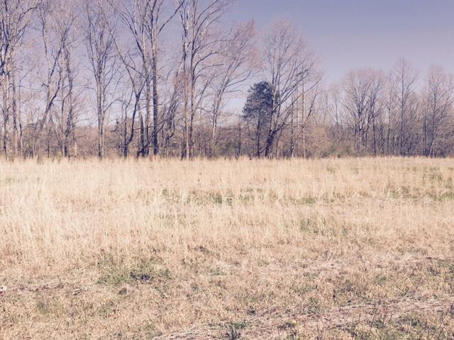 6 Honey Lane - Photo 1