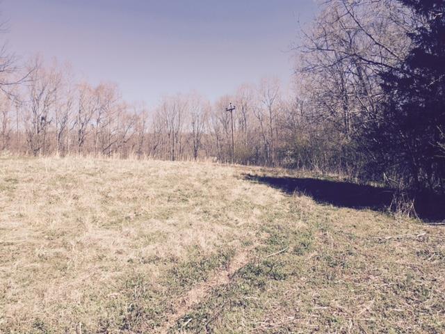 8 Honey Lane - Photo 1