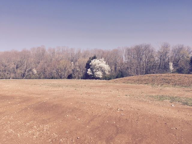 16 Honey Lane - Photo 1