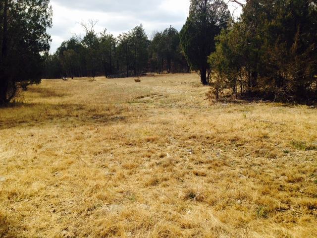 0 Robert Truelove Rd - Photo 1