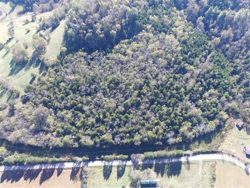 0 Dixon Creek Rd - Photo 1