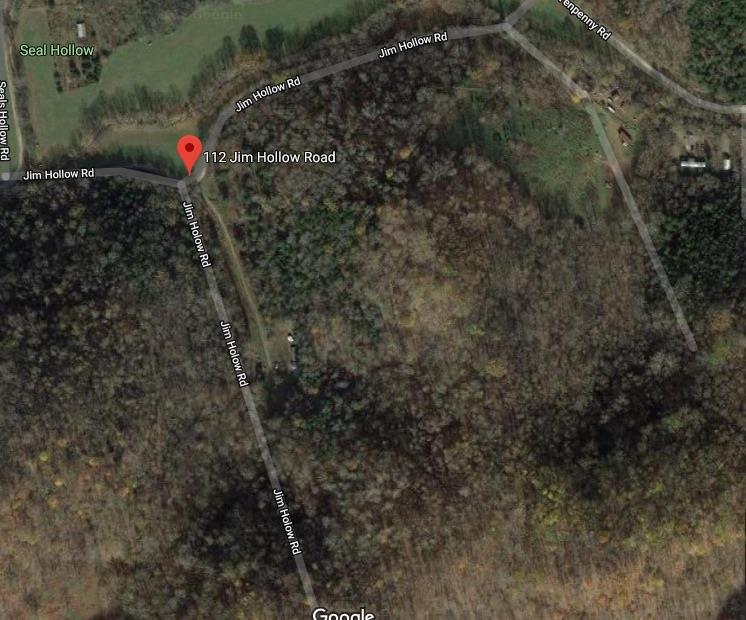 122 Jim Hollow Rd - Photo 1