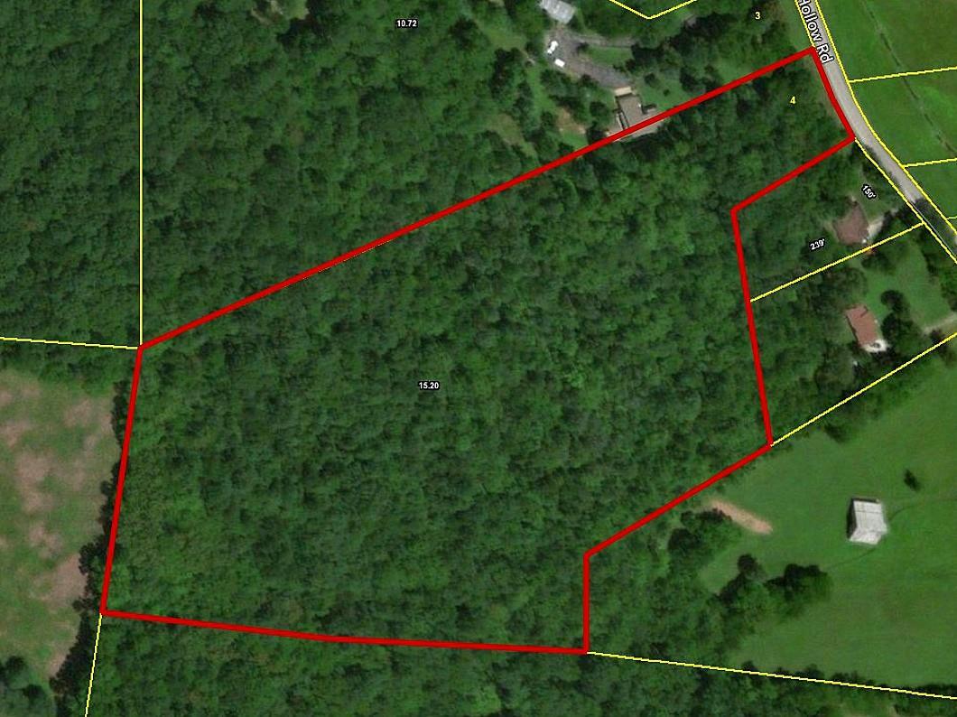 0 Tanyard Hollow Rd - Photo 1