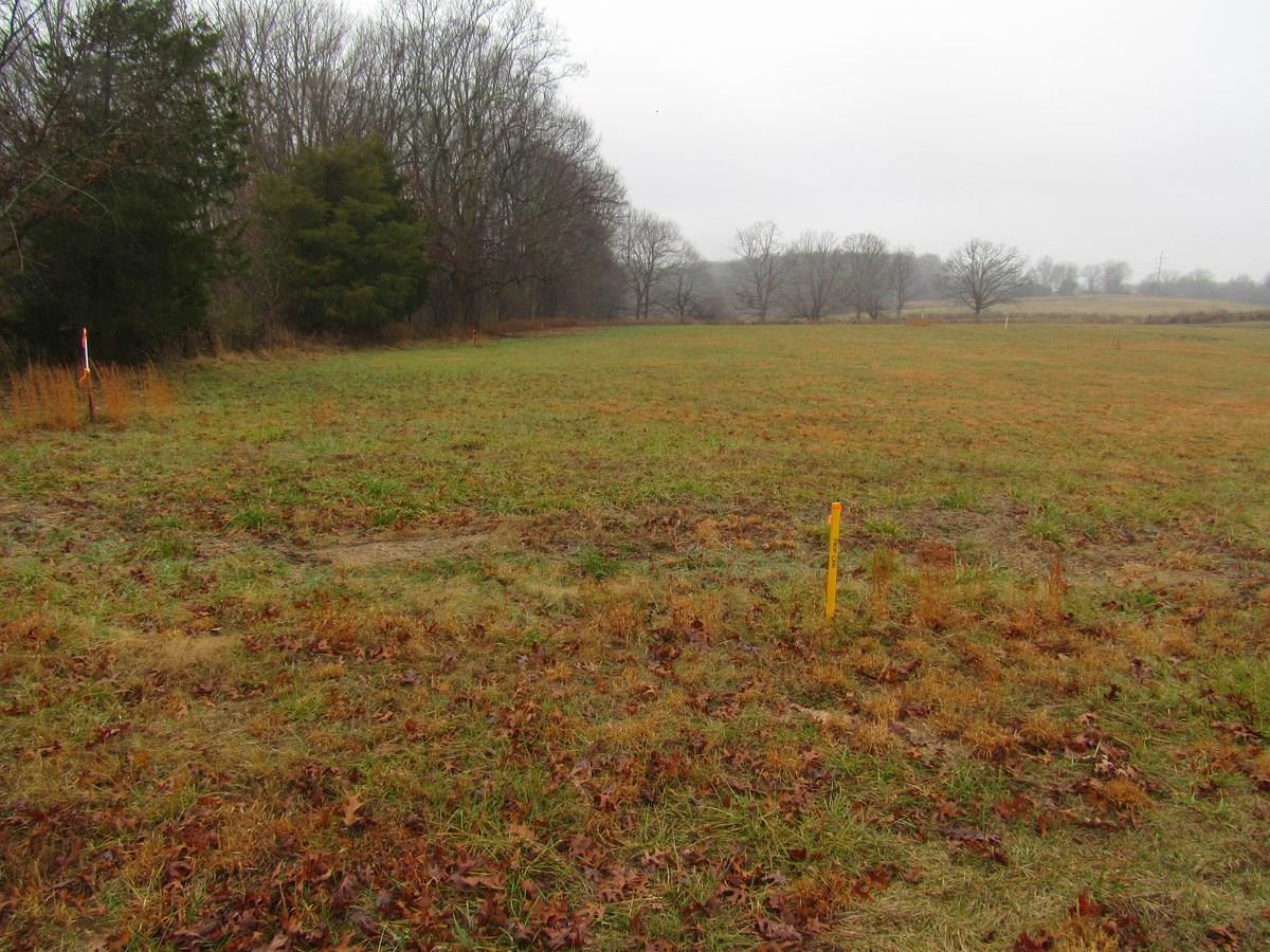 1438 A. B. Wade Road - Photo 1