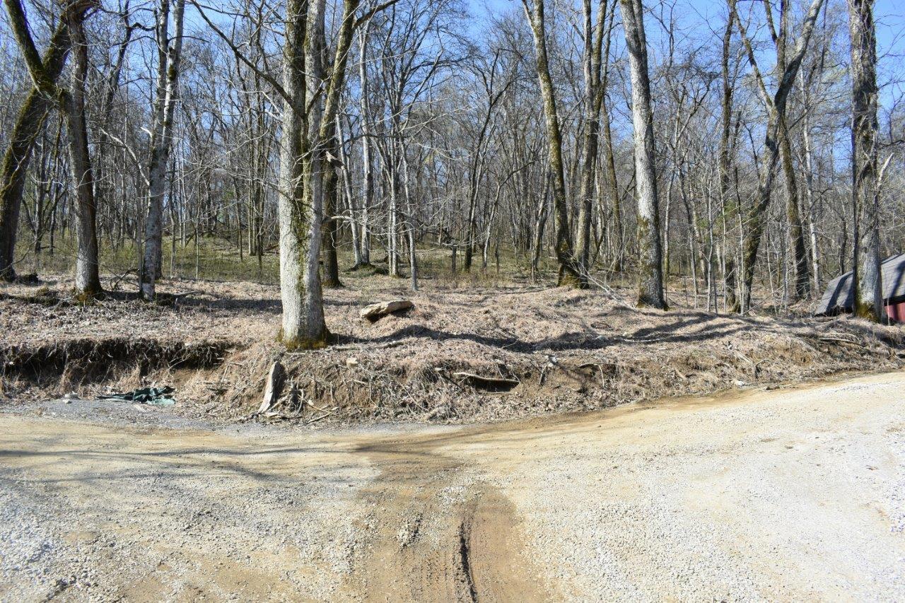 216 Sullivan Bend Rd - Photo 1