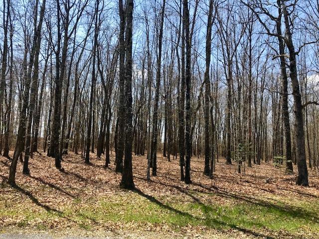 0 Camp Creek Cir - Photo 1