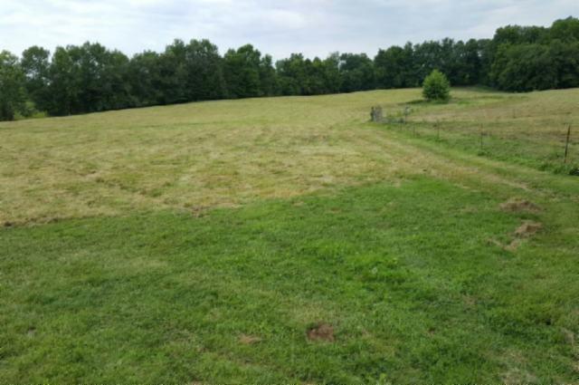 21 .28 Ac. Oak Grove Rd - Photo 1
