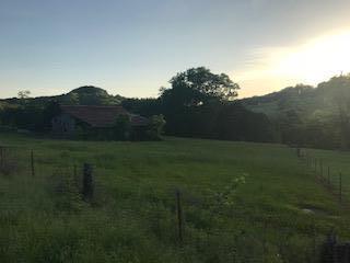 9604 Clovercroft Rd - Photo 1