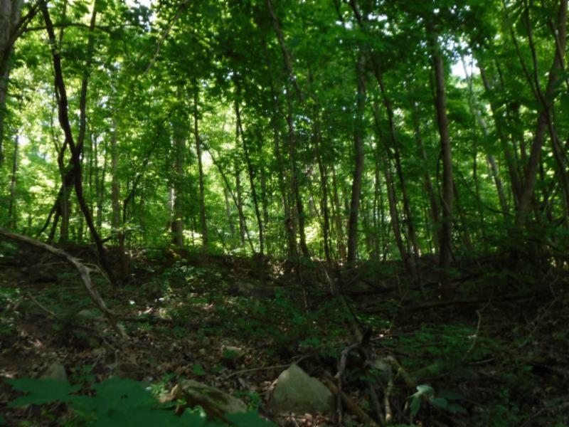 8 Crossville Hwy - Photo 1