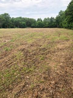 225 Clemmons Rd - Photo 1