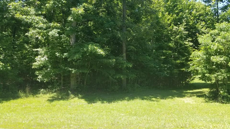 1317 Bilsworth Ct - Photo 1