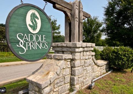 1235 Saddle Springs Dr - Photo 1