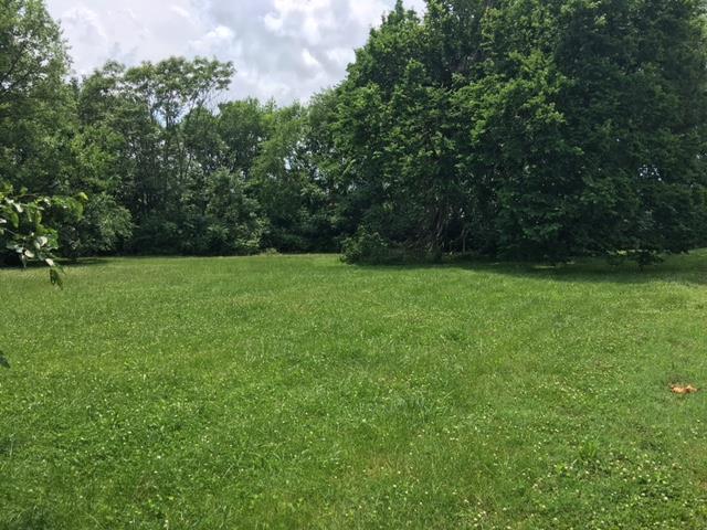 189 Antioch Pike - Photo 1