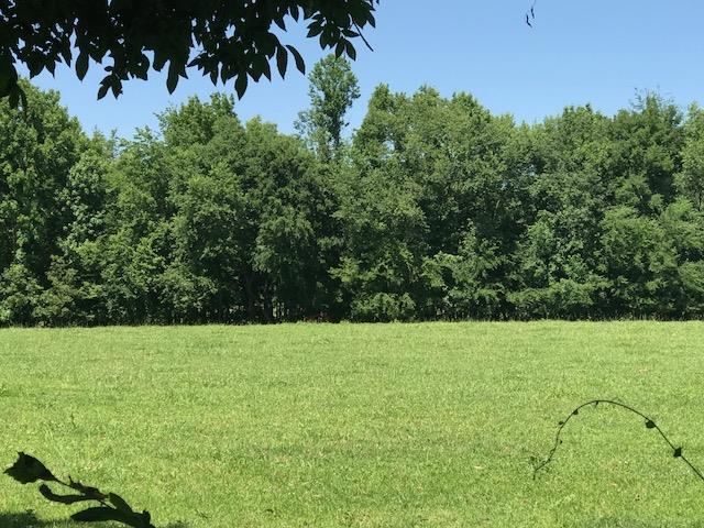 0 Meadows Rd Tract 4 - Photo 1