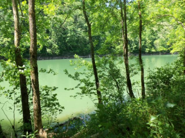 0 .55 Hiawassee Lane Lot 30 - Photo 1