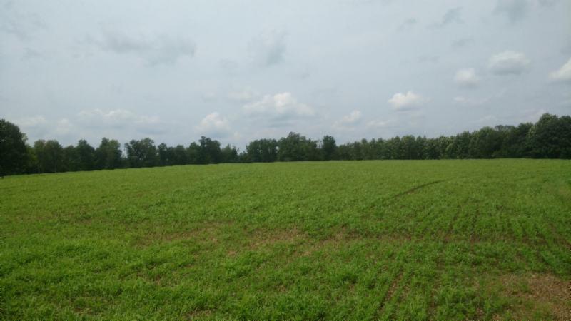 77 .20Ac Smalling Rd - Photo 1