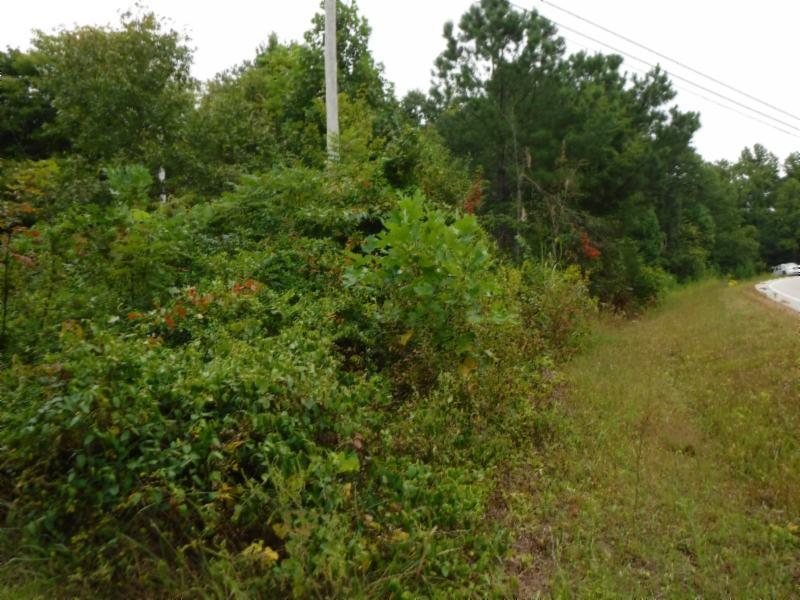 16 .27Ac Hanging Limb Hwy - Photo 1