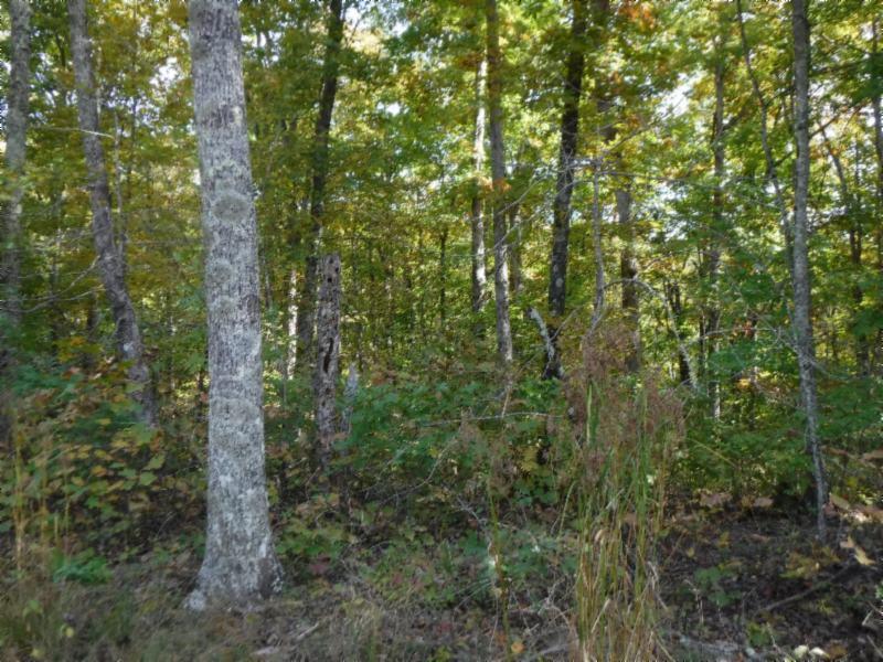 3173 Chapel Hill Rd - Photo 1