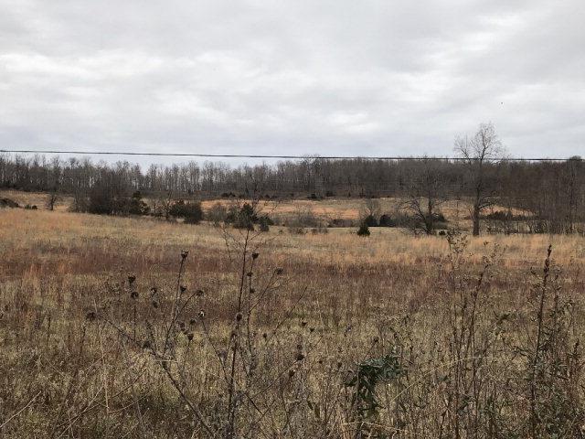 0 N Salem - Photo 1