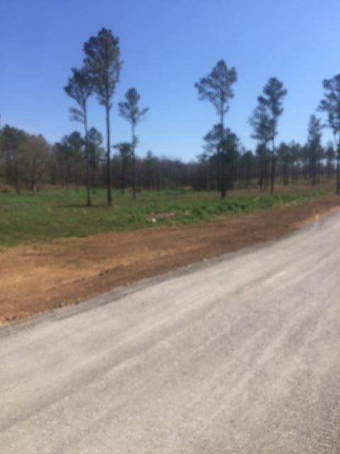 3 Eagle Ridge Lane - Photo 1