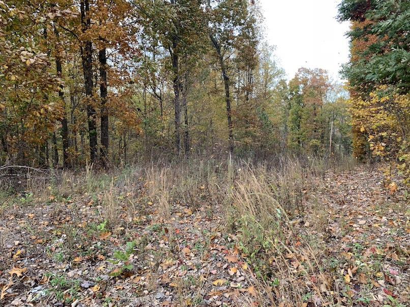 0 Burt-Burgen Rd - Photo 1