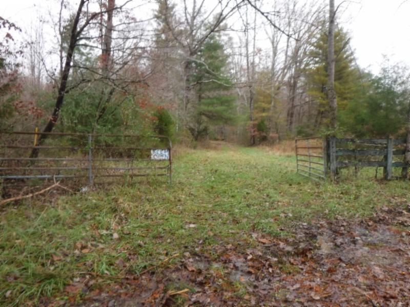 85 .60Ac Twin Bridge Road - Photo 1