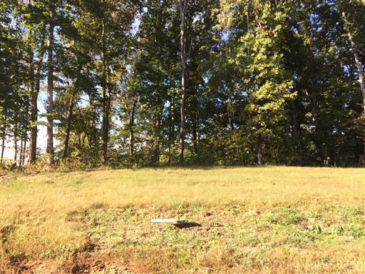 4403 Memory Ln - Photo 1