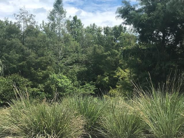0 Spence Ct - Photo 1