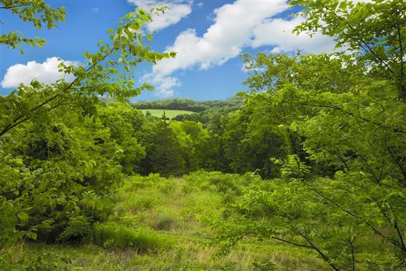 4715 Bennett Hollow Rd - Photo 1